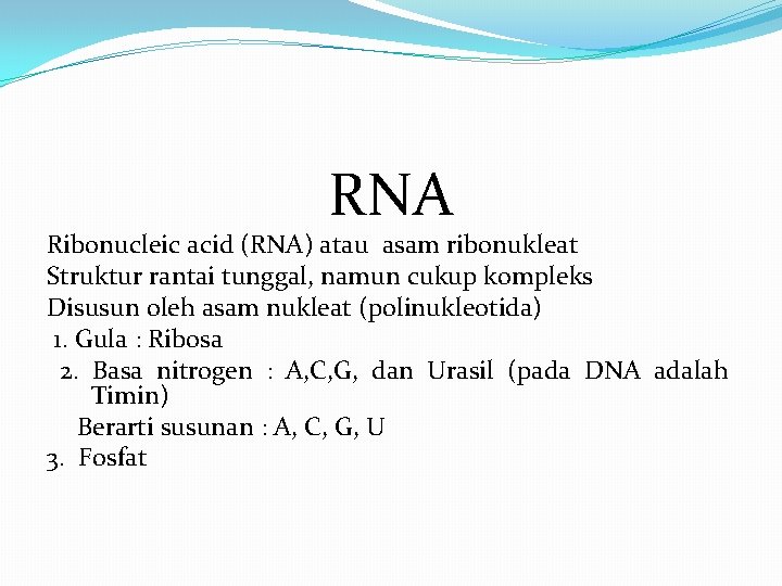 RNA Ribonucleic acid (RNA) atau asam ribonukleat Struktur rantai tunggal, namun cukup kompleks Disusun