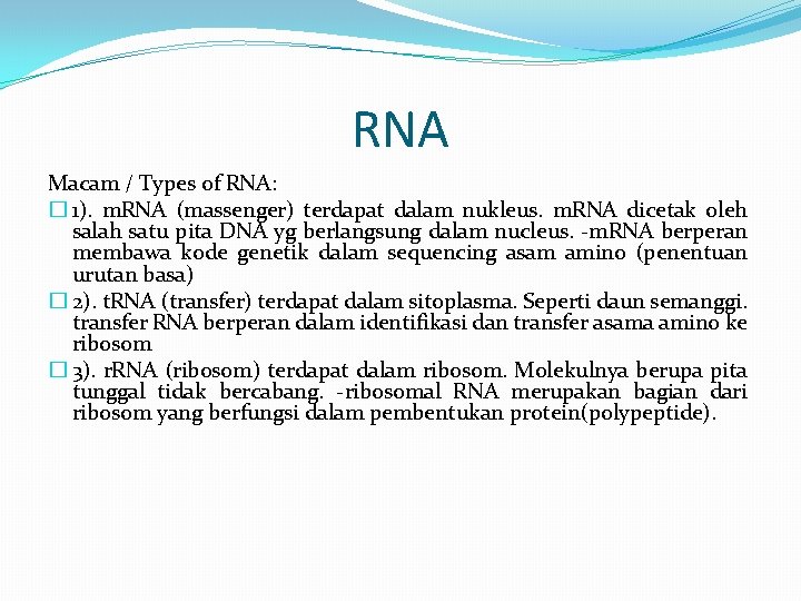 RNA Macam / Types of RNA: � 1). m. RNA (massenger) terdapat dalam nukleus.