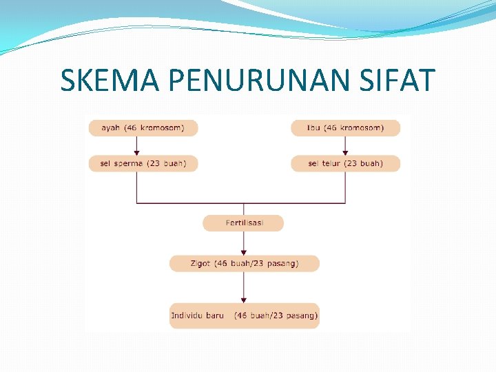 SKEMA PENURUNAN SIFAT 