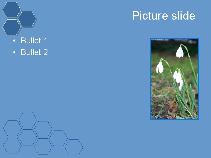 Picture slide • Bullet 1 • Bullet 2 