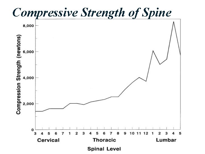 Compressive Strength of Spine 