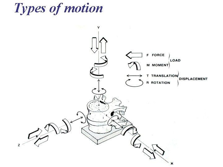 Types of motion 