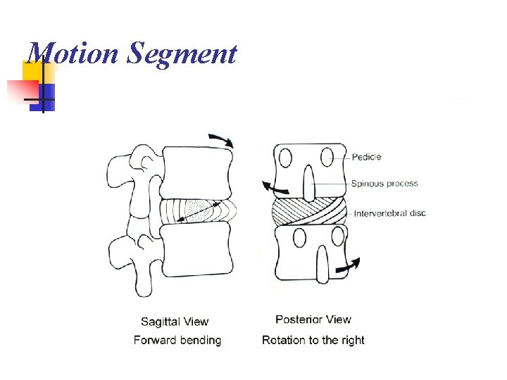 Motion Segment 