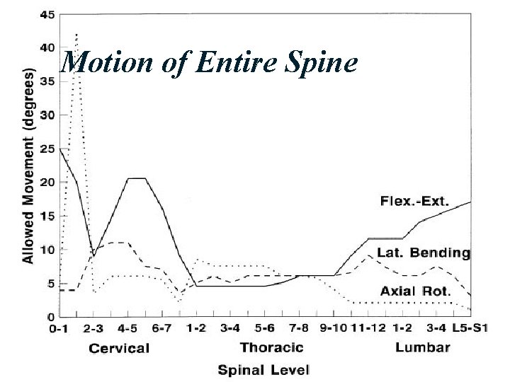 Motion of Entire Spine 