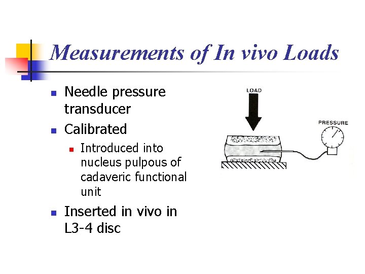 Measurements of In vivo Loads n n Needle pressure transducer Calibrated n n Introduced