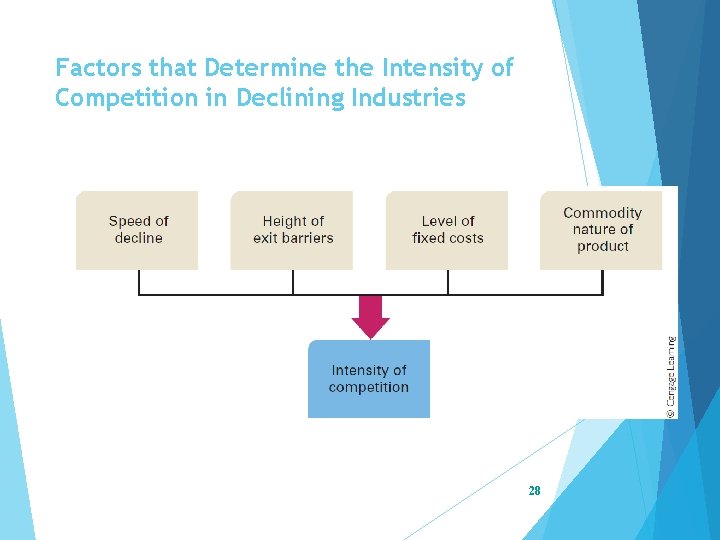 Factors that Determine the Intensity of Competition in Declining Industries 28 