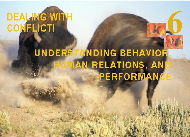 DEALING WITH CONFLICT! 6 UNDERSTANDING BEHAVIOR, HUMAN RELATIONS, AND PERFORMANCE 