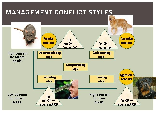 MANAGEMENT CONFLICT STYLES Passive behavior High concern for others’ needs Accommodating style I’m OK