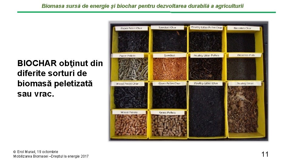 Biomasa sursă de energie şi biochar pentru dezvoltarea durabilă a agriculturii BIOCHAR obţinut din