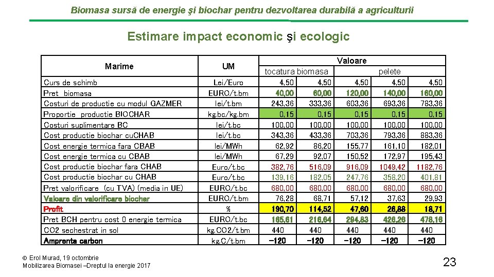 Biomasa sursă de energie şi biochar pentru dezvoltarea durabilă a agriculturii Estimare impact economic