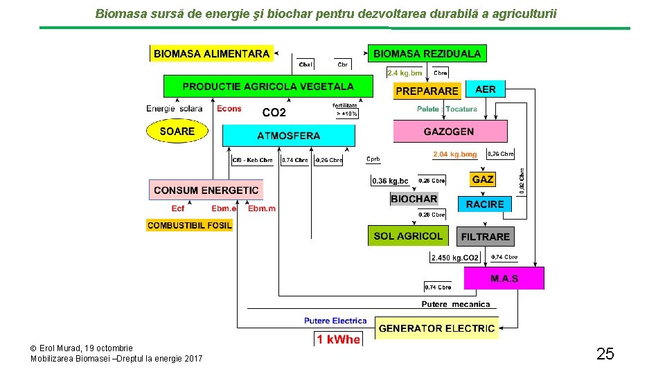 Biomasa sursă de energie şi biochar pentru dezvoltarea durabilă a agriculturii Erol Murad, 19