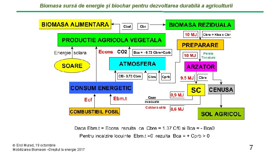 Biomasa sursă de energie şi biochar pentru dezvoltarea durabilă a agriculturii Erol Murad, 19 Biomasa sursă de energie şi biochar pentru dezvoltarea durabilă a agriculturii Erol Murad, 19