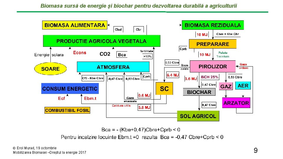 Biomasa sursă de energie şi biochar pentru dezvoltarea durabilă a agriculturii Erol Murad, 19