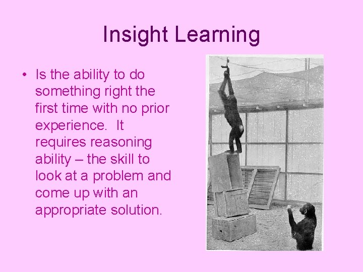 Insight Learning • Is the ability to do something right the first time with