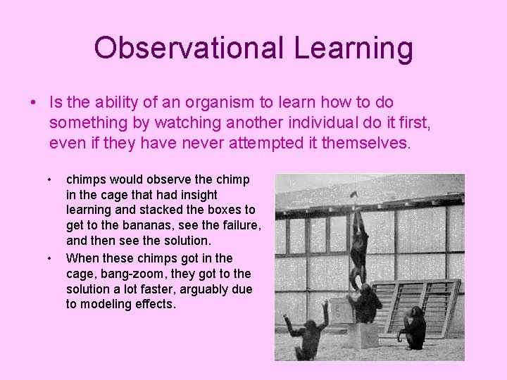 Observational Learning • Is the ability of an organism to learn how to do