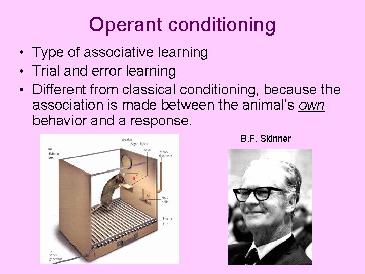 Operant conditioning • Type of associative learning • Trial and error learning • Different