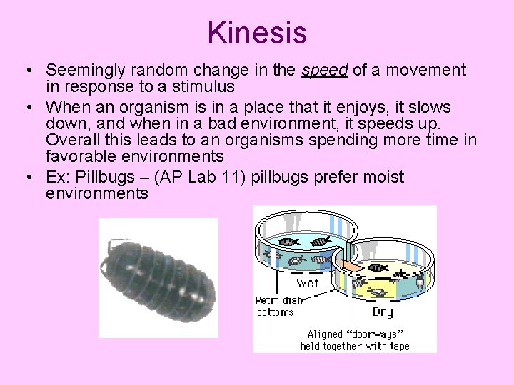 Kinesis • Seemingly random change in the speed of a movement in response to