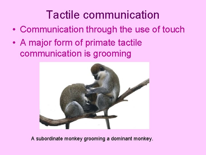 Tactile communication • Communication through the use of touch • A major form of