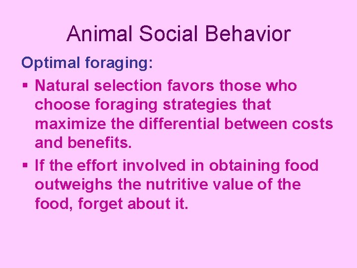 Animal Social Behavior Optimal foraging: § Natural selection favors those who choose foraging strategies