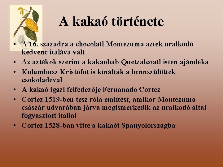 A kakaó története • A 16. századra a chocolatl Montezuma azték uralkodó kedvenc italává