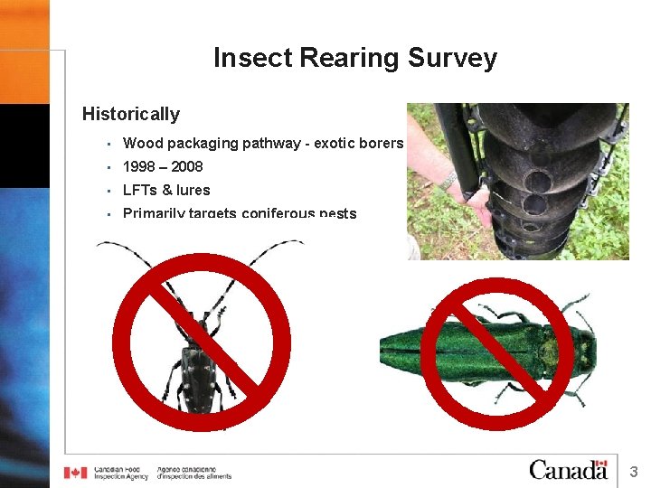 Insect Rearing Survey Historically • Wood packaging pathway - exotic borers • 1998 –