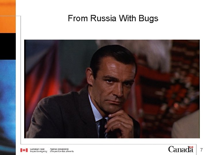 From Russia With Bugs 7 