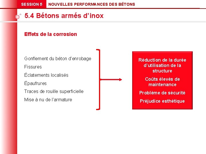 SESSION 5 NOUVELLES PERFORMANCES DES BÉTONS 5. 4 Bétons armés d’inox Effets de la
