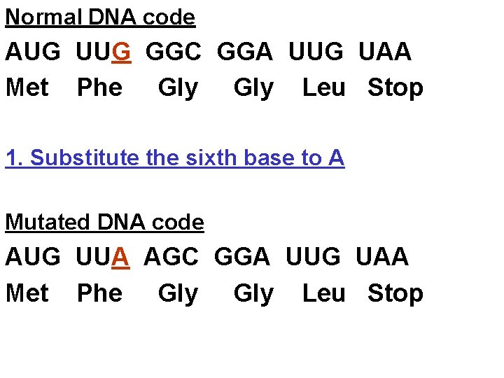 Normal DNA code AUG UUG GGC GGA UUG UAA Met Phe Gly Leu Stop