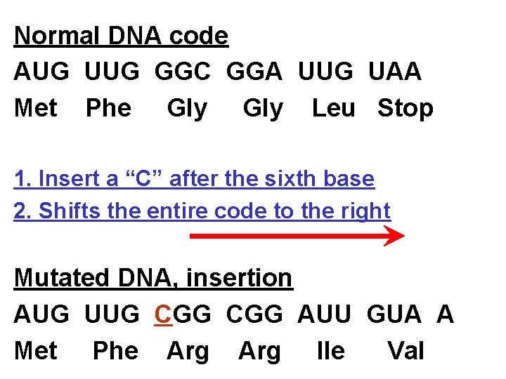 Normal DNA code AUG UUG GGC GGA UUG UAA Met Phe Gly Leu Stop