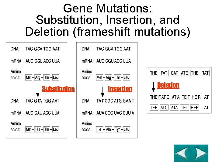 Gene Mutations: Substitution, Insertion, and Deletion (frameshift mutations) Substitution Go to Section: Insertion Deletion