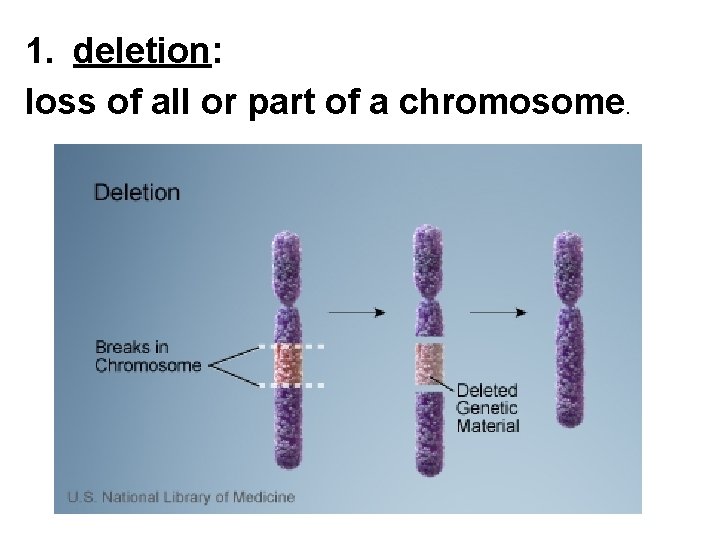 1. deletion: loss of all or part of a chromosome. 