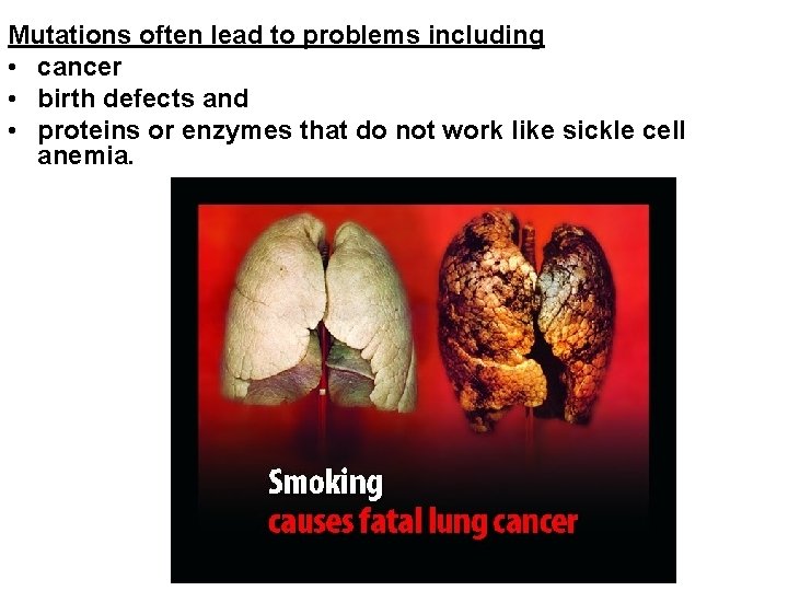 Mutations often lead to problems including • cancer • birth defects and • proteins