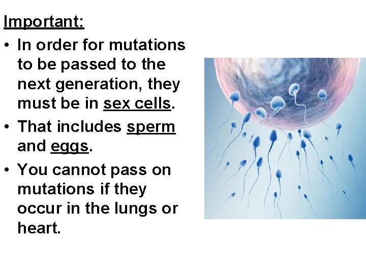 Important: • In order for mutations to be passed to the next generation, they