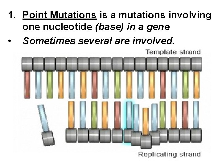 1. Point Mutations is a mutations involving one nucleotide (base) in a gene •