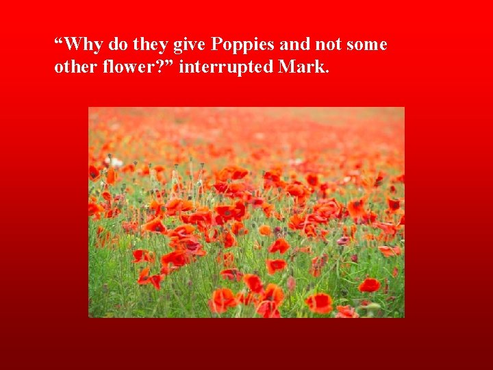 “Why do they give Poppies and not some other flower? ” interrupted Mark. 