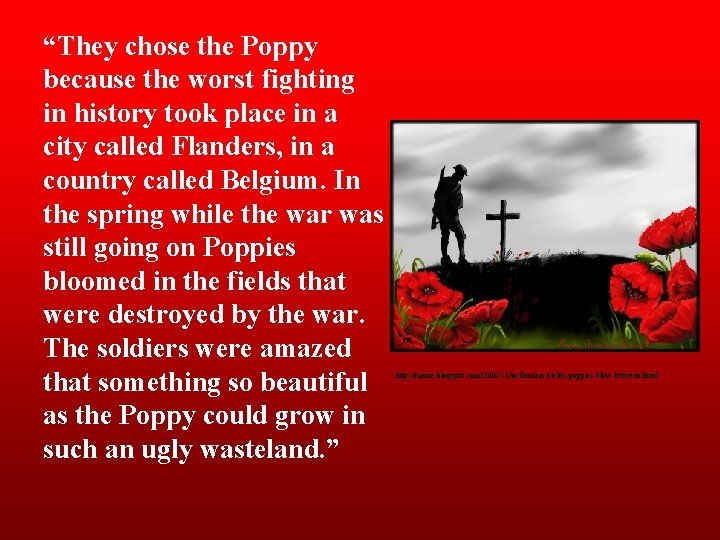 “They chose the Poppy because the worst fighting in history took place in a