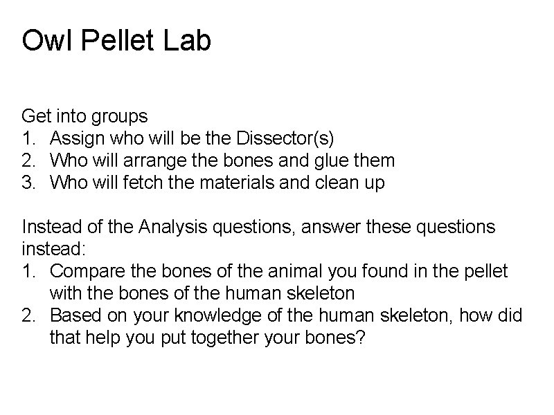 Owl Pellet Lab Get into groups 1. Assign who will be the Dissector(s) 2.