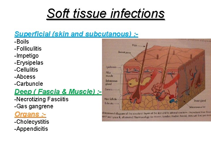 Soft tissue infections Superficial (skin and subcutanous) : -Boils -Folliculitis -Impetigo -Erysipelas -Cellulitis -Abcess