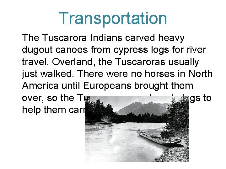 Transportation The Tuscarora Indians carved heavy dugout canoes from cypress logs for river travel.