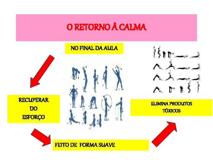 O RETORNO À CALMA NO FINAL DA AULA RECUPERAR DO ESFORÇO ELIMINA PRODUTOS TÓXICOS