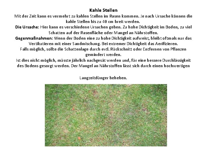 Kahle Stellen Mit der Zeit kann es vermehrt zu kahlen Stellen im Rasen kommen.