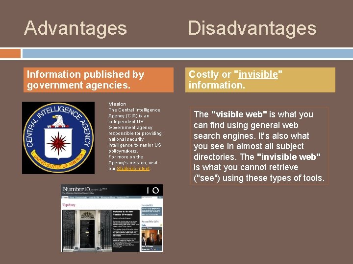 Advantages Disadvantages Information published by government agencies. Costly or "invisible" information. Mission The Central