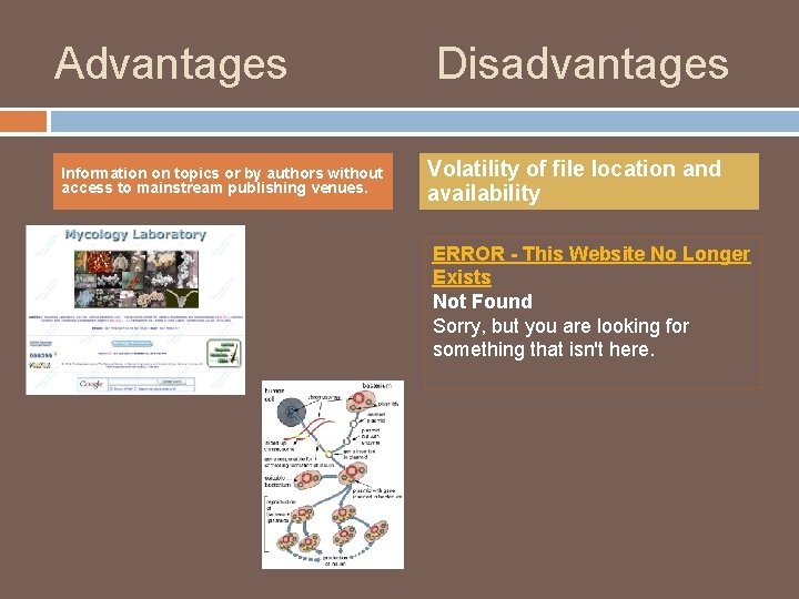 Advantages Information on topics or by authors without access to mainstream publishing venues. Disadvantages