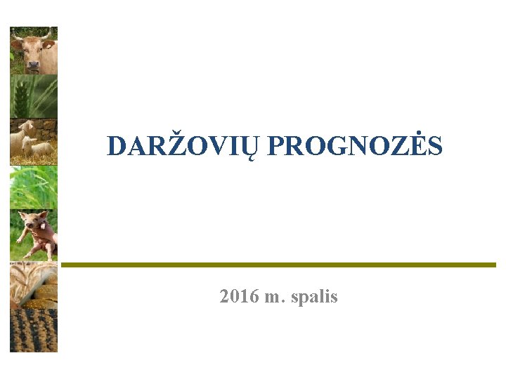 DARŽOVIŲ PROGNOZĖS 2016 m. spalis 