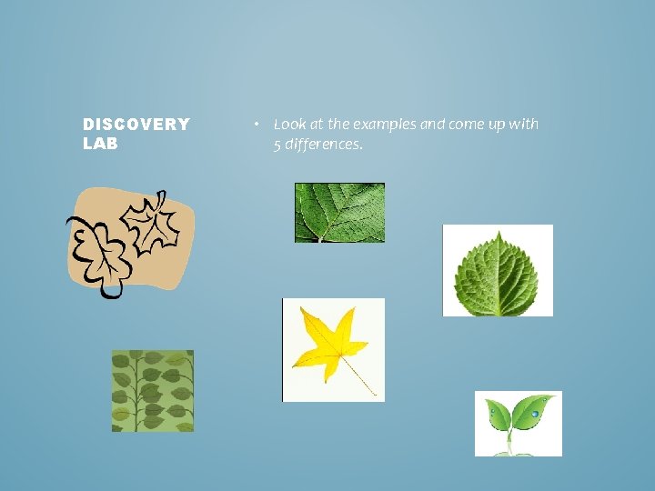 DISCOVERY LAB • Look at the examples and come up with 5 differences. 