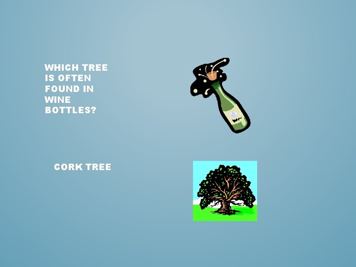 WHICH TREE IS OFTEN FOUND IN WINE BOTTLES? CORK TREE 