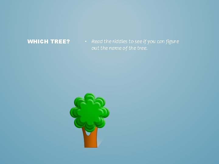 WHICH TREE? • Read the riddles to see if you can figure out the