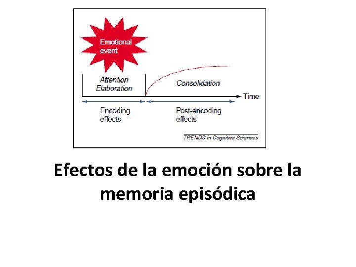 Efectos de la emoción sobre la memoria episódica 