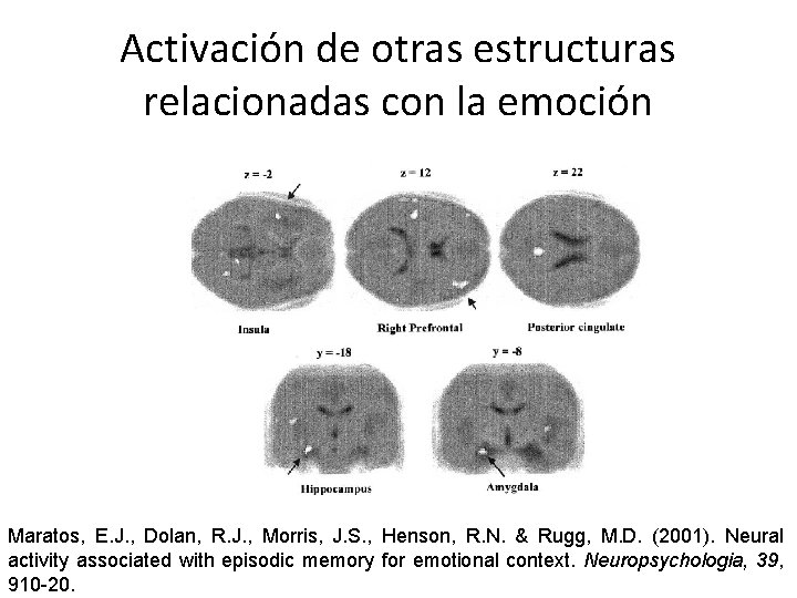 Activación de otras estructuras relacionadas con la emoción Maratos, E. J. , Dolan, R.