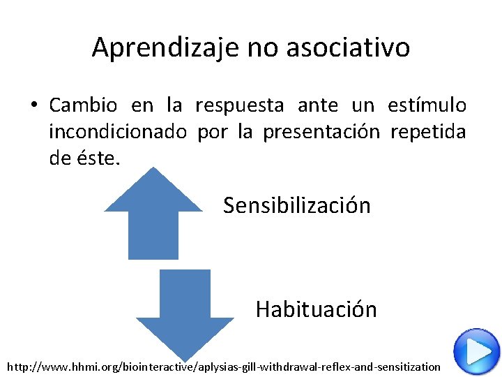 Aprendizaje no asociativo • Cambio en la respuesta ante un estímulo incondicionado por la